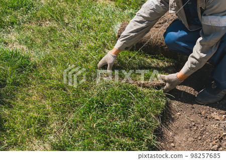 Close-up man laying grass turf rolls for new garden lawn 98257685