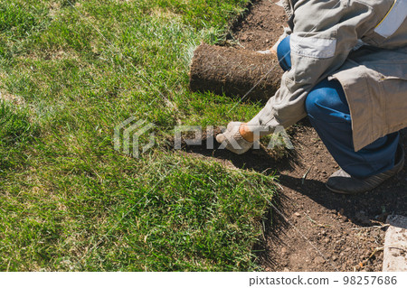 Close-up man laying grass turf rolls for new garden lawn Close-up man laying grass turf rolls for new garden lawn 98257686