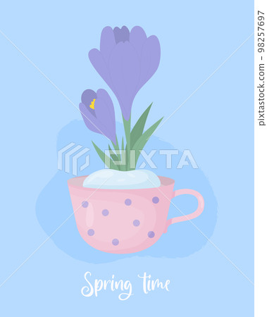 Spring poster with Crocus flower. First blooming purple saffron in snow in cup on blue background. Vector illustration in flat style for postcards, design, print, decor, covers. 98257697