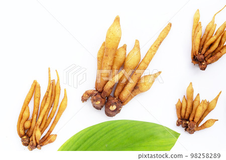 Fingerroot on a white background. Fingerroot on a white background. 98258289