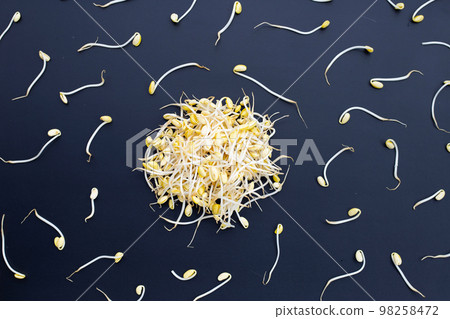Fresh soybean sprouts for cooking. 98258472