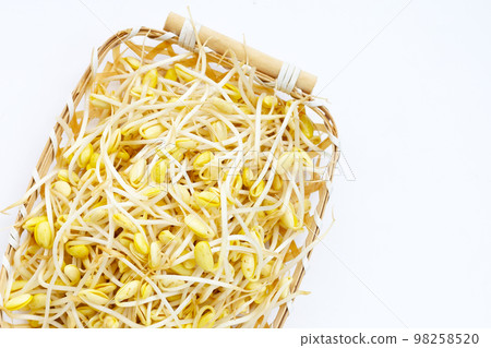 Fresh soybean sprouts for cooking. 98258520
