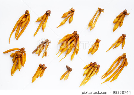 Finger root on a white background. Finger root on a white background. 98258744