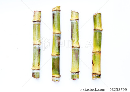 Sugar cane on white background. 98258799