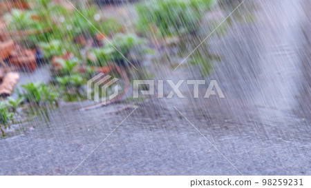 Background material ・ Image of rainy season and heavy rain 98259231