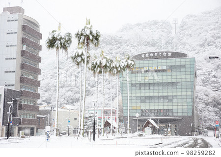[Tokushima city] Awa Odori Kaikan in heavy snow 98259282