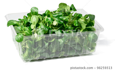 Fresh lettuce leaves mung bean in a transparent plastic container on a white isolated background Fresh lettuce leaves mung bean in a transparent plastic container on a white isolated background 98259313