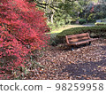 Autumn leaves and benches 98259958
