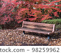 Autumn leaves and benches 98259962