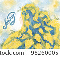 Mimosa flowers on mother's day on March 8 in Italy. Postcard with mimosa watercolors. Symbol of 98260005