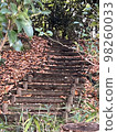 Stairs of fallen leaves 98260033