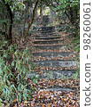 Stairs of fallen leaves 98260061