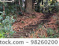 Natural stairs 98260200