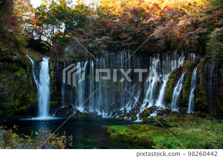 Beautiful scenery of Shiraito Falls 98260442