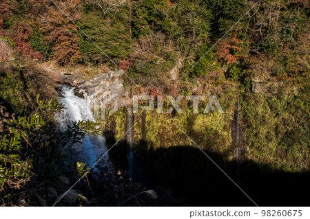 Falling water of Shiraito Falls Falling water of Shiraito Falls 98260675
