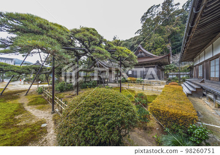 Tenonji Temple（岡崎市）``Tenonji no Matsu'' 98260751