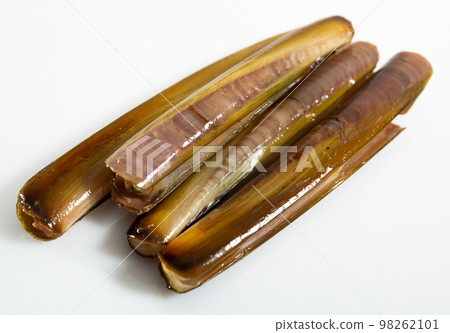 Clams ensis on white surface 98262101