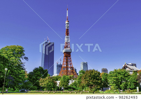 從港區芝公園眺望東京鐵塔 從港區芝公園眺望東京鐵塔 98262493