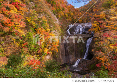 (Ibaraki Prefecture) Fukuda Falls Fall leaves (Ibaraki Prefecture) Fukuda Falls Fall leaves 98262905