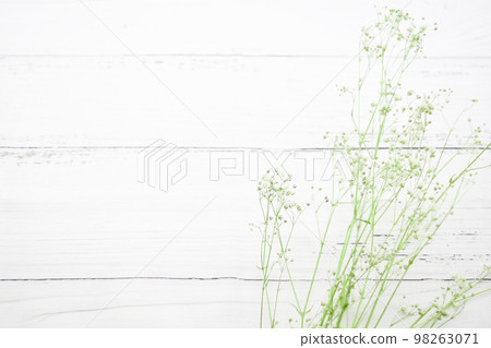 Kasumi grass and Scandinavian wood grain background 98263071