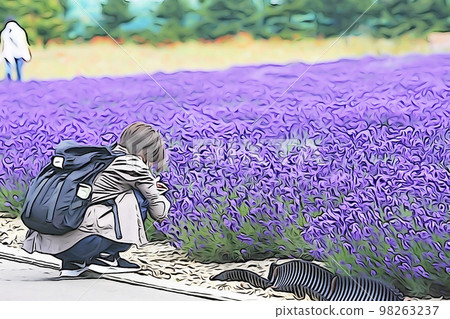 柔和色調“薰衣草田和一個用智能手機拍照的女人”插圖圖像 柔和色調“薰衣草田和一個用智能手機拍照的女人”插圖圖像 98263237