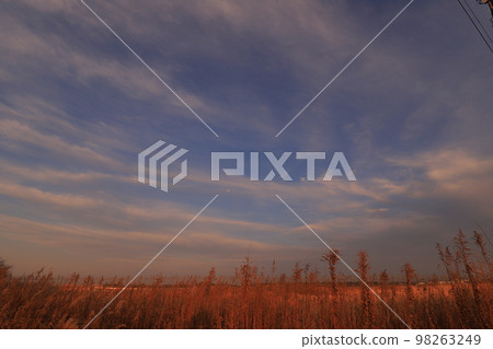 Sunset sky and sunset clouds Sunset sky and sunset clouds 98263249