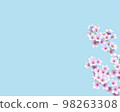 3D rendering background material of blooming cherry blossoms with light blue background 98263308