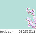 3D rendering background material of blooming cherry blossoms with pale blue-green background 98263312