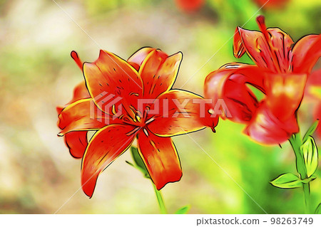 Pastel style "lily flower in full bloom" illustration image Pastel style "lily flower in full bloom" illustration image 98263749