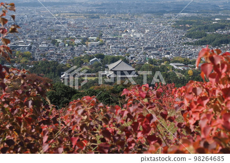 Todaiji Temple from Mt. Wakakusa in Nara Todaiji Temple from Mt. Wakakusa in Nara 98264685
