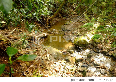 水源[4月，相模原市津久井] 98264948