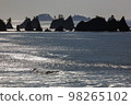 coastal landscape and rocks 98265102