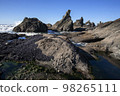 Rocks and coastal scenery 98265111