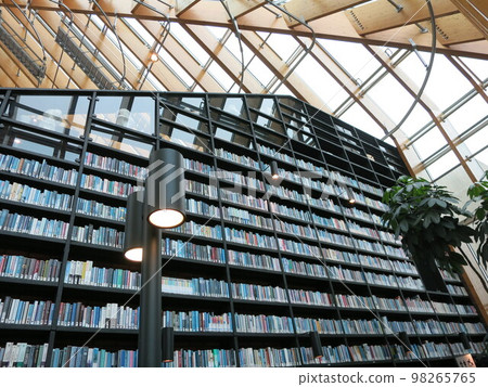 荷蘭，金字塔形圖書館，書山 (4) 98265765