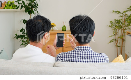 Rear view of a male couple having a conversation looking at a smartphone at home 98266101