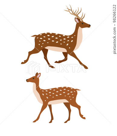 Vector two flat hand drawn deer 98266122
