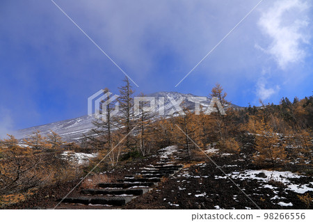 Mt. Fuji garden 98266556