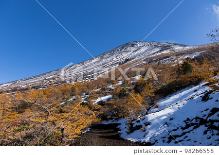 Mt. Fuji garden 98266558