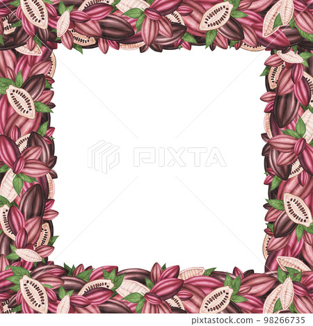 Square Frame with Ripe Cocoa pod with beans isolated. Watercolor borders. Illustration for packaging, template, menu Square Frame with Ripe Cocoa pod with beans isolated. Watercolor borders. Illustration for packaging, template, menu 98266735