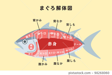 illustration of tuna dismantling diagram 98268060