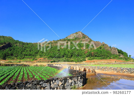 Bagumji Oreum, Dansan, Mountain, Oreum, Foreground, Eve, Rural, Dongsan, 98268177