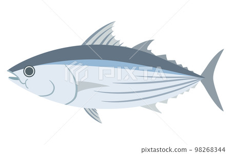 Illustration of bonito 98268344
