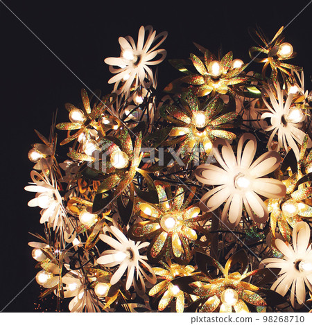 Flower illumination 98268710