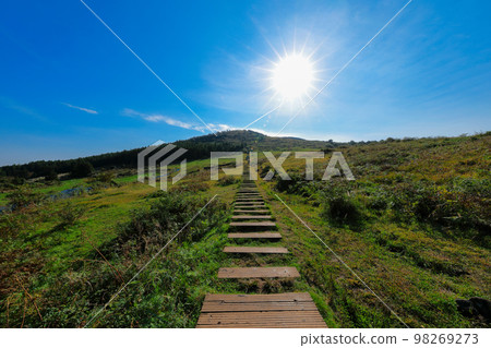 Baekyakyi Oreum, Stairway to Heaven, Wooden Stairs, Oreum, Life Shot, Baekyakyi Oreum, Stairway to Heaven, Wooden Stairs, Oreum, Life Shot, 98269273