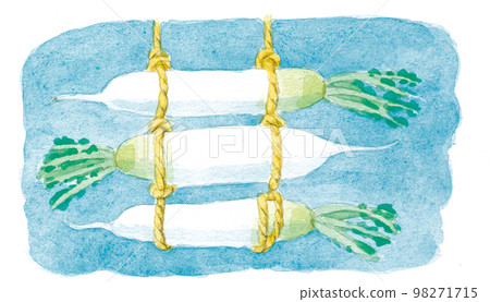 Watercolor painting: radish 98271715