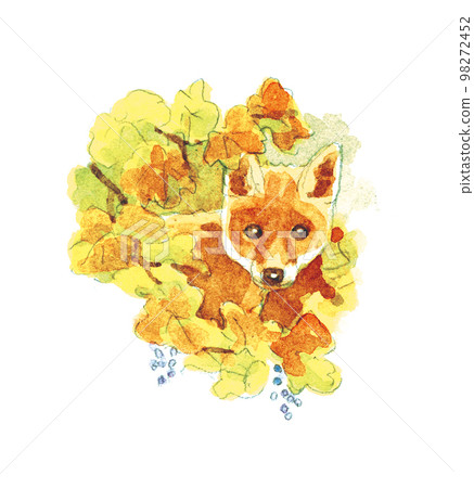 水彩:狐狸 水彩:狐狸 98272452