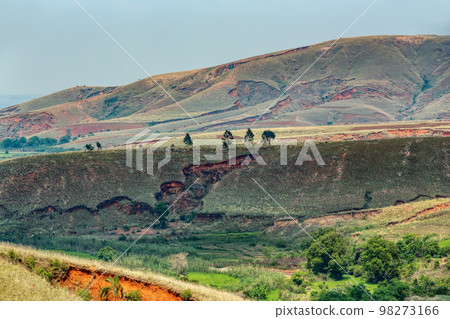 Devastated central Madagascar landscape - Mandoto, Vakinankaratra Madagascar 98273166