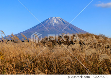 Mount Fuji Mount Fuji 98273890