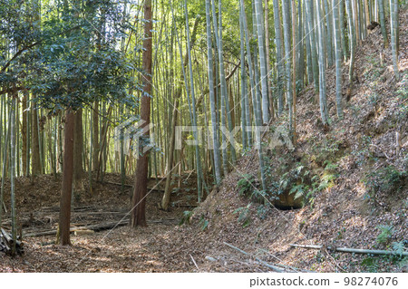 Empty Moat of Takiyama Castle Ruins [National Historic Site, Metropolitan Takiyama Park] Hachioji City, Tokyo 98274076