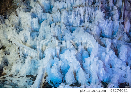 蘆久保冰柱點亮秩父三大冰柱 蘆久保冰柱點亮秩父三大冰柱 98274081